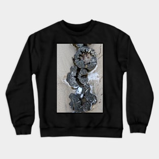 Groyne from above Crewneck Sweatshirt